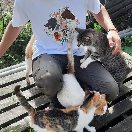 Camiseta Ciudad Animal a todo color