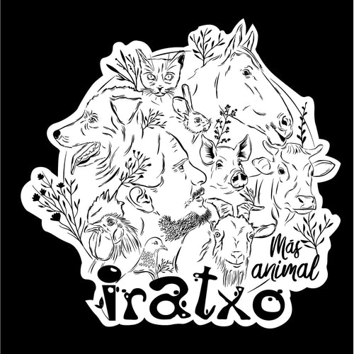 Camisetas Iraxto